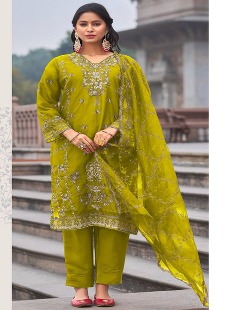R 1178 By Shree Organza Pakistani Readymade Suits Wholesale Clothing Suppliers In India
