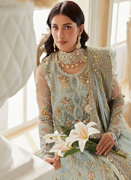 R 595 By Ramsha Organza Wholesale Pakistani Salwar Kameez Manufacturers