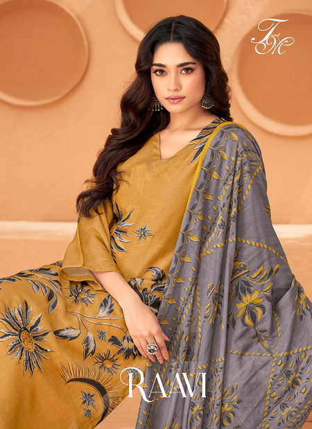 Raavi By T And M Viscose Organza Printed Salwar Kameez Wholesale Price In Surat
