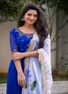 Royal Gold By Bhargavi Tex Georgette Kurti With Dupatta Catalog