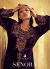 Senora By Aiqa Embroidery Work Velvet Salwar Kameez Wholesale Price In Surat