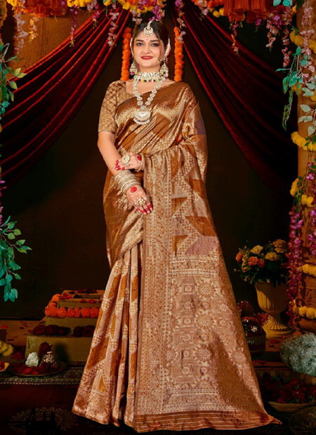 Sunaina Vol 3 Saroj 1001 To 1008 Designer Organza Silk Saree Wholesale In Delhi
