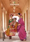 Sundarvan By Kreshva Dani P V Silk Traditional Patola Wholesale Saree In India