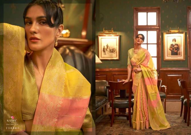 Kenzo Organza By Rajtex Casual Saree Wholesale Market In Surat