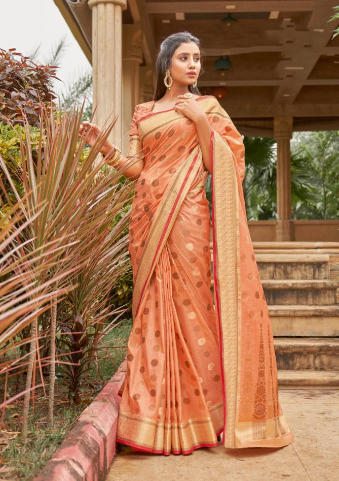 Sangam Amanya Wedding Wear Designer Cotton Handloom Saree Collection