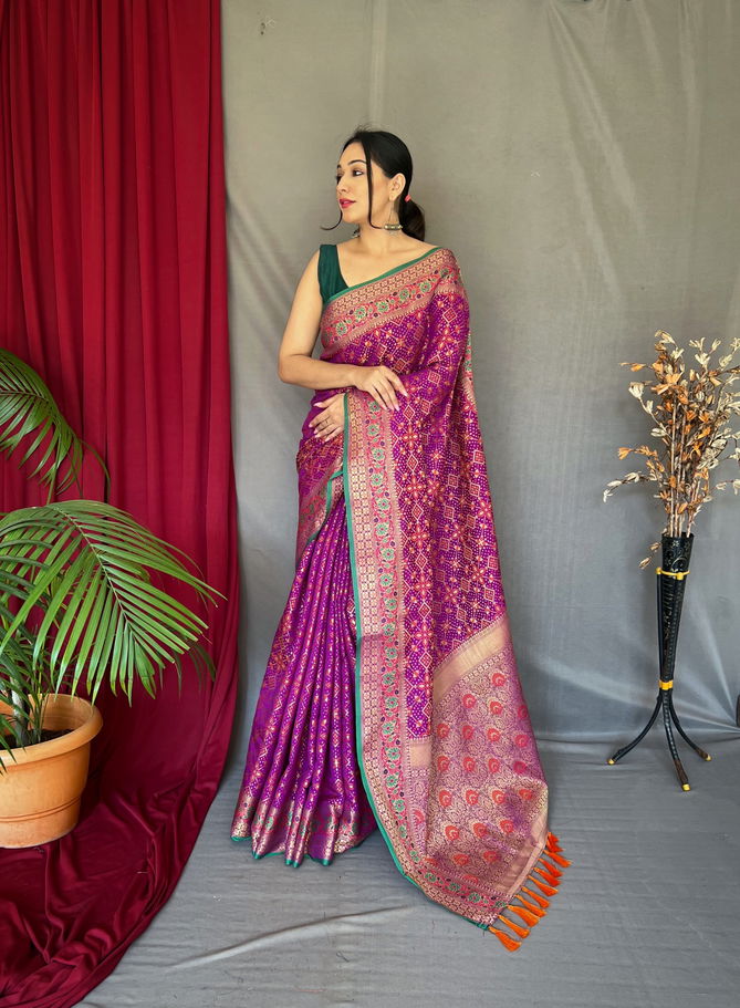 Bandhej Ptola 2 Colors Pure Silk Sarees Catalog