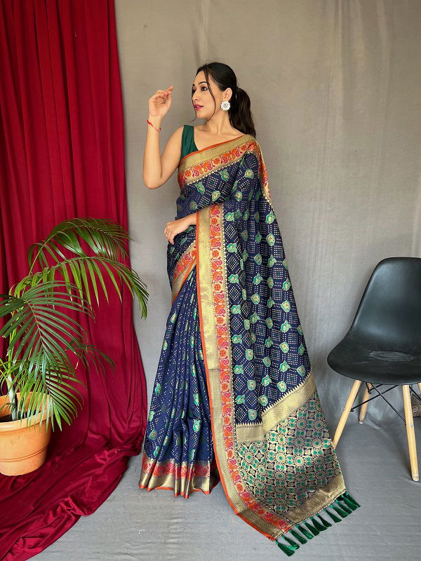 Katchhi Patola Colors Designer Sarees Catalog