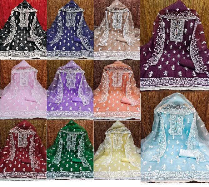 Dixita Organza Color Set Non Catalog Dress Material