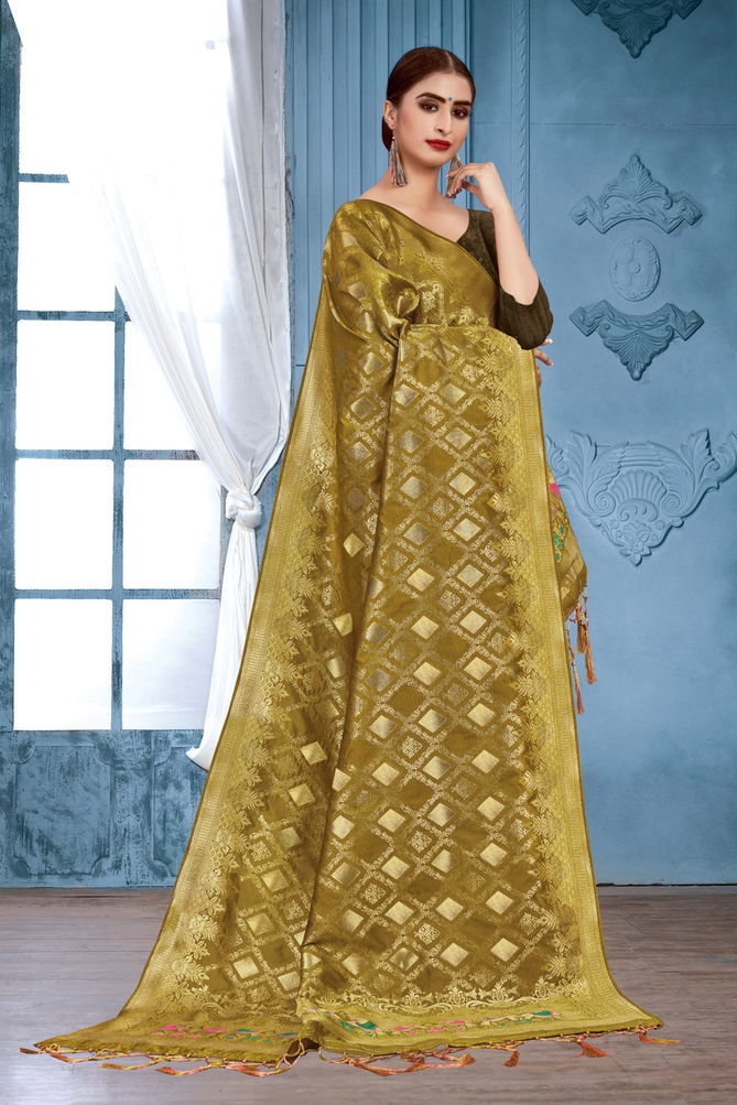 Sangam Silk Banarasi Dupatta 2 Collection Fabric And Beautiful Design Border
