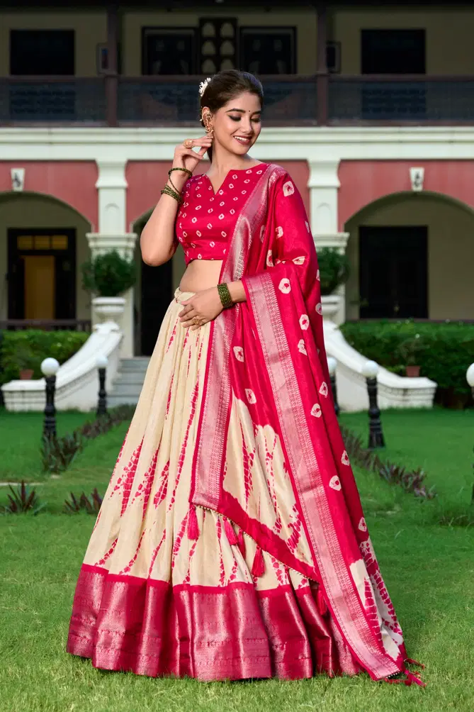 Raashi By LNB Dola Silk Lehenga Choli Surat Wholesale Market