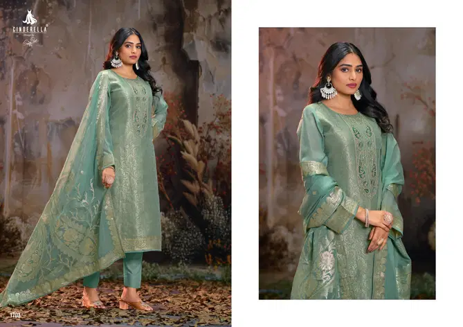 Zahria By Cinderella Orgenza Printed Salwar Kameez Orders In India