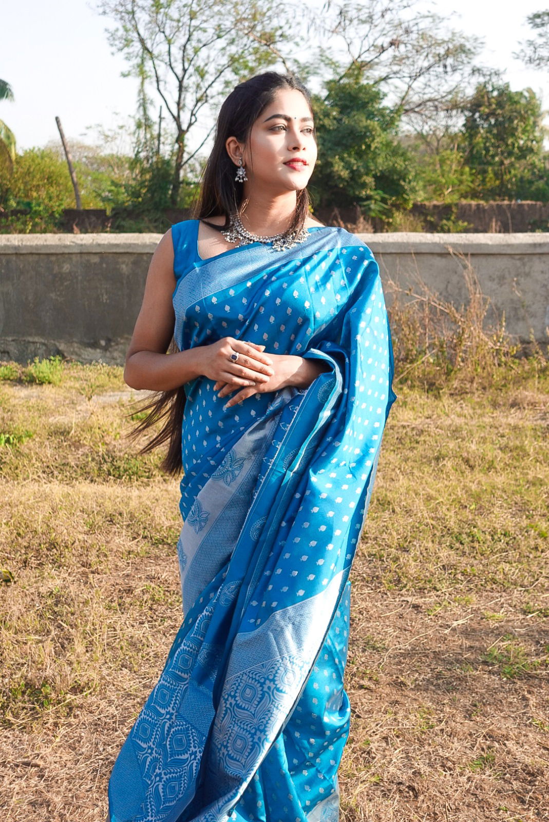 DDF 1009 Lichi Silk Designer Sarees Catalog