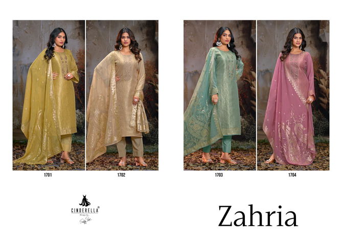 Zahria By Cinderella Orgenza Printed Salwar Kameez Orders In India