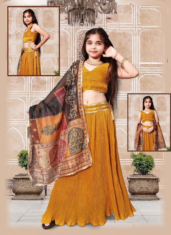 Arya Like Lehenga Choli Festive Wear Wholesale Kids Wear Catalog