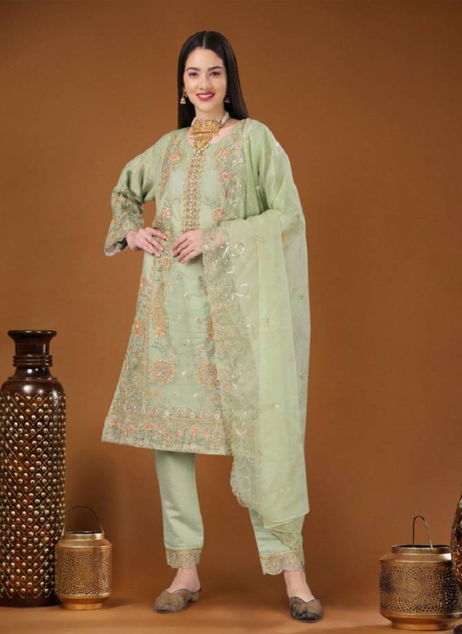 Light Green Colour Aditri By Biva Designer Salwar Suits Catalog 30016