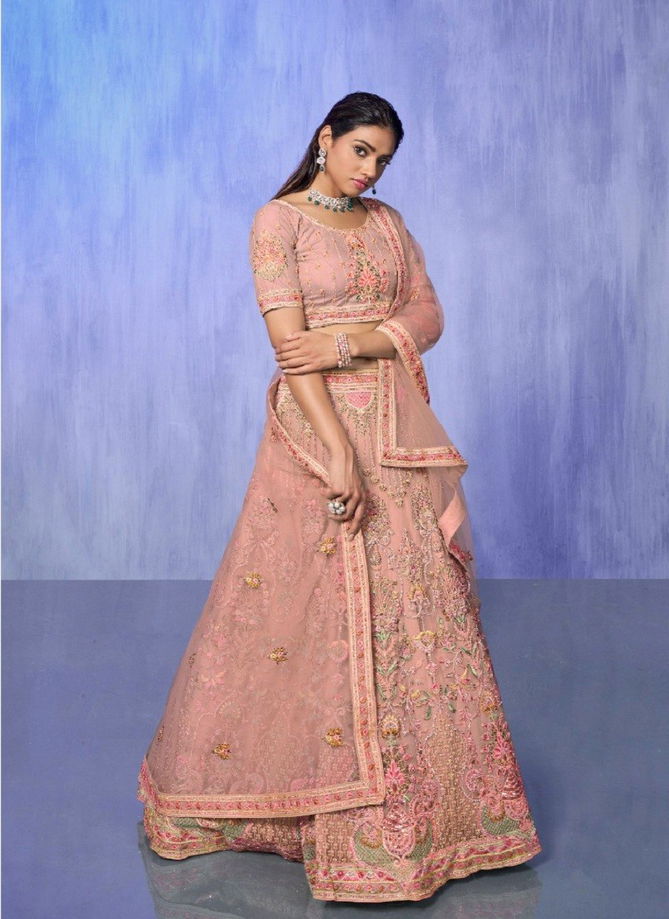 Look Book by Arya Embroidered Designer Lehenga Choli Catalog