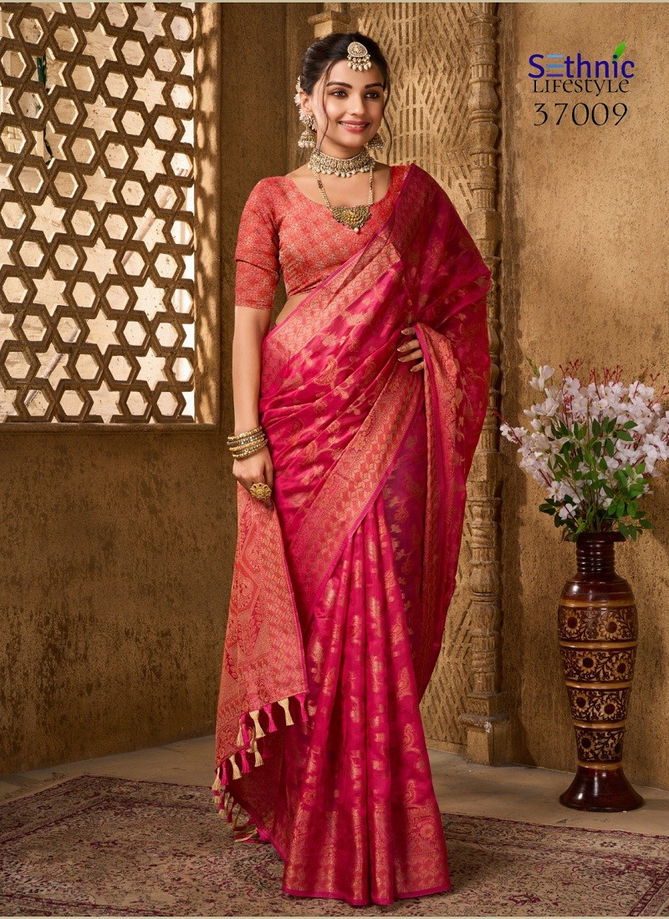 Evogue Vol 2 By Sethnic Organza Wedding Wear Saree Wholesale Price In Surat