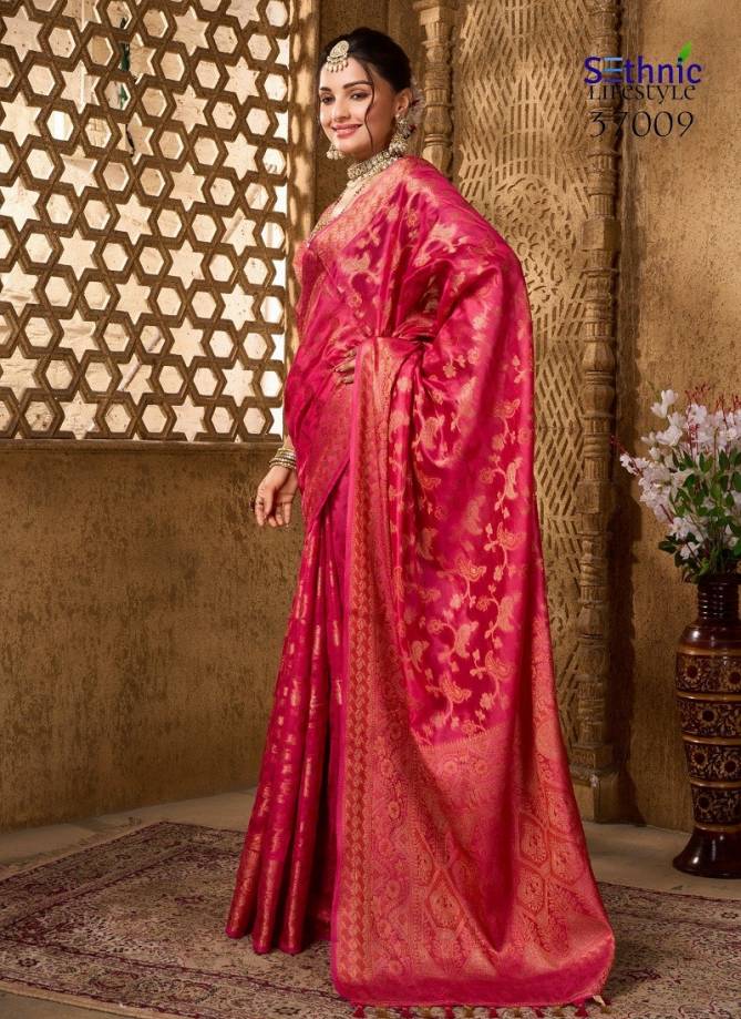 Evogue 2 By Sethnic Organza Wedding Wear Saree Orders In India