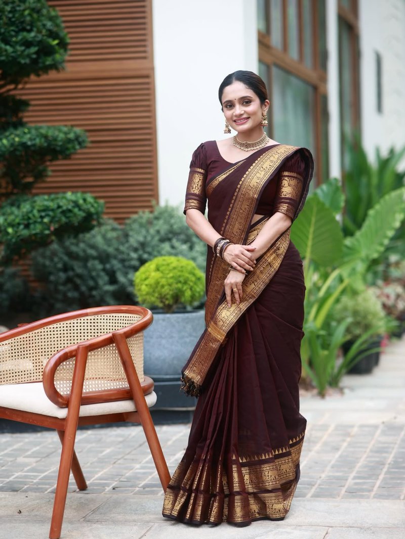 Narayan Pet Vol 1 By Aab Soft Silk Zari Weaving Saree